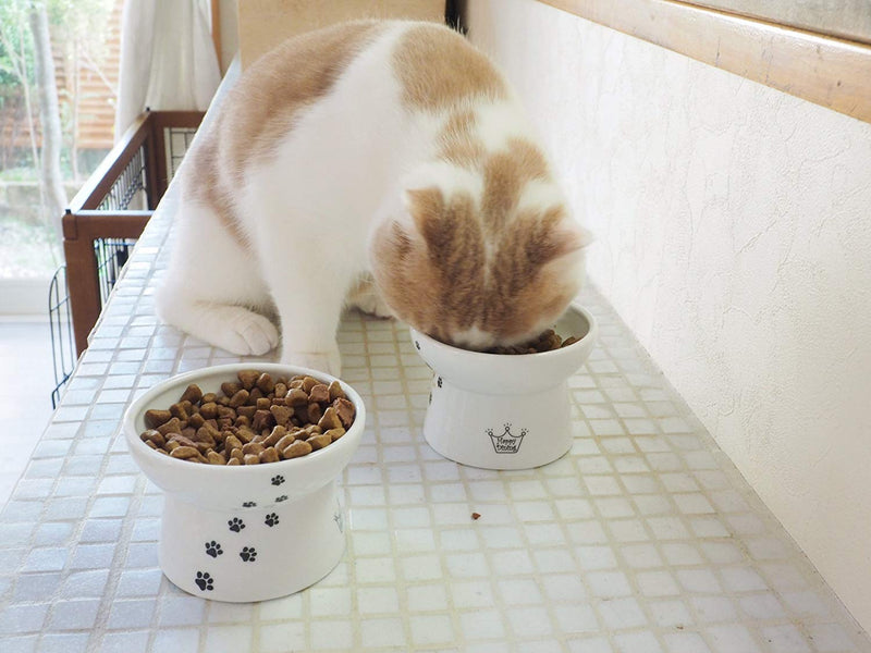 [Australia] - Necoichi Raised Cat Food Bowl, Cat, 0.294999999999998 kg 