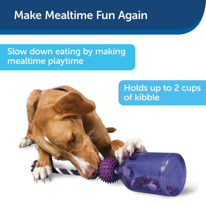 Premier Pet PetSafe Busy Buddy Tug-A-Jug Meal-Dispensing Dog Toy Use with Kibble or Treats - PawsPlanet Australia