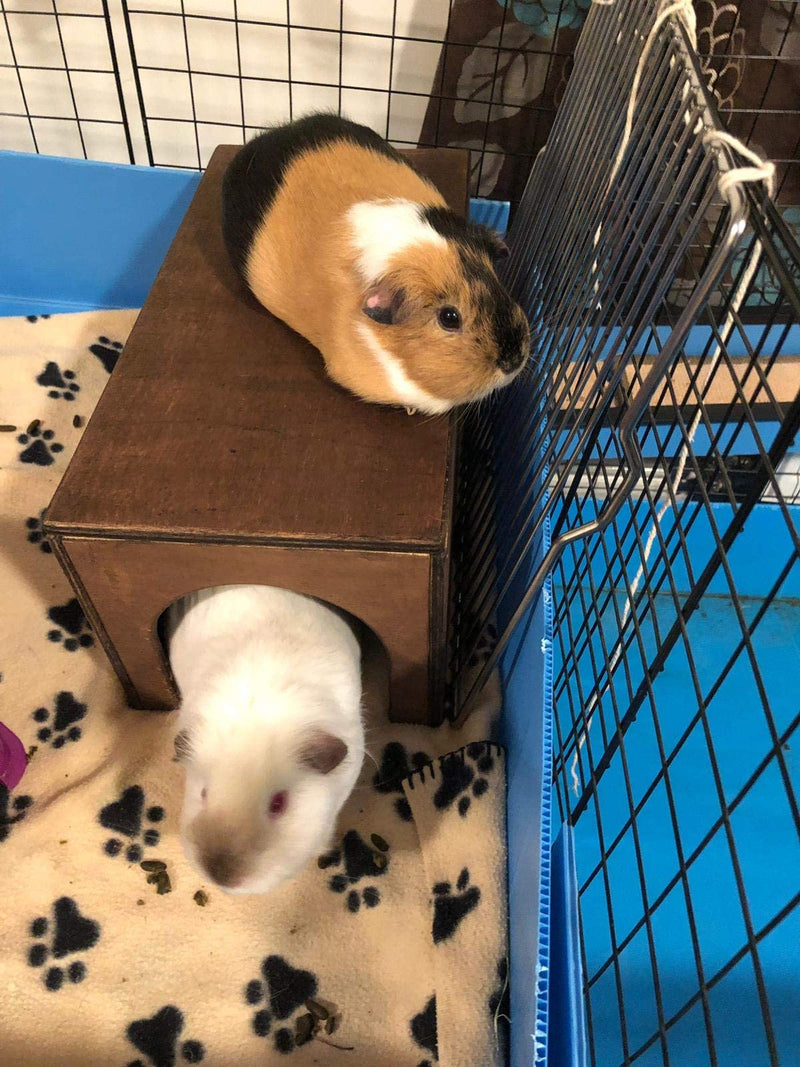 Hop Inn Guinea Pig Hideaway Tunnel (Lt Oak) - 40 cm L x 20 cm W x 18.5 cm H - Handmade in the UK - Arrives Built To Last - Wont tip over - All Weather Natural - PawsPlanet Australia
