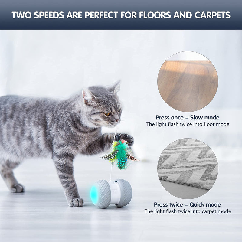 COONidos Interactive Cat Toys-Automatic Kitten Toys for Indoor Cats, Robotic Feathers/Birds/Mouse/Ball Toys for Cats/Kitten, 360 Degree Self Rotating Spinning Light USB Charge - PawsPlanet Australia