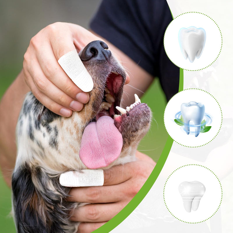 Pack of 14 reusable dog toothbrushes, dog finger toothbrushes, dog fingerlings, dog dental care, fingerlings dog toothbrush, tartar remover, dog teeth cleaning, dog toothbrush made of knitted fabric - PawsPlanet Australia
