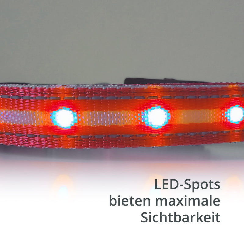 Luminous collar for dogs [The original] Luminous LED dog collar for walking even in the dark - very long battery life - safe thanks to high-quality metal clasp (red, L) L (48-60 cm) red - PawsPlanet Australia