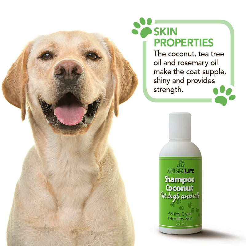 Coconut Oil Shampoo for Dogs & Cats 250ml - Coconut Oil - Ethereal Tea Tree & Rosemary Oil - Nurturing - Easily Combed - Pleasant Smell - Silk Proteins - PawsPlanet Australia