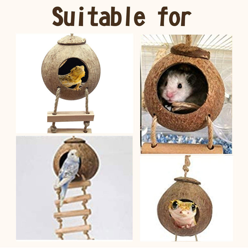 PINVNBY Crested Gecko Coco Hut with Ladder Natural Lizard Coconut Shell Hideout Home Mini Condo for Reptiles Durable Cave Habitat with Hanging Loop Coconut Texture Provide Food for Pets - PawsPlanet Australia