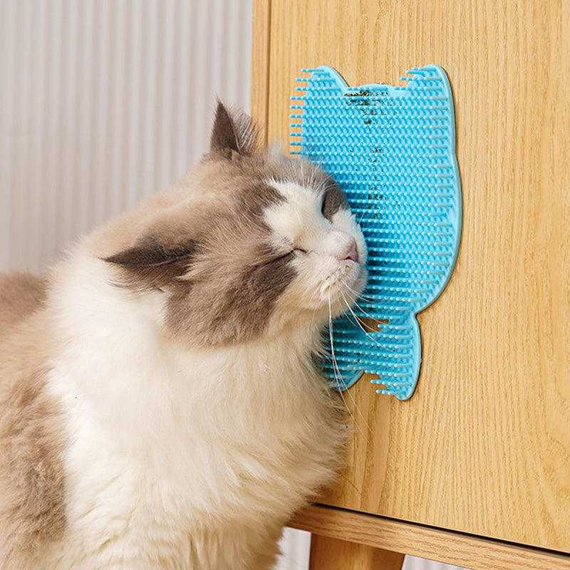 Cat Brush Massage Hair Removal Care Device - Cat Back Care Massager Cat Self Groomer for Massage Grooming and Playing Toy Brush for Kittens and Small Dogs, Pack of 2 - PawsPlanet Australia