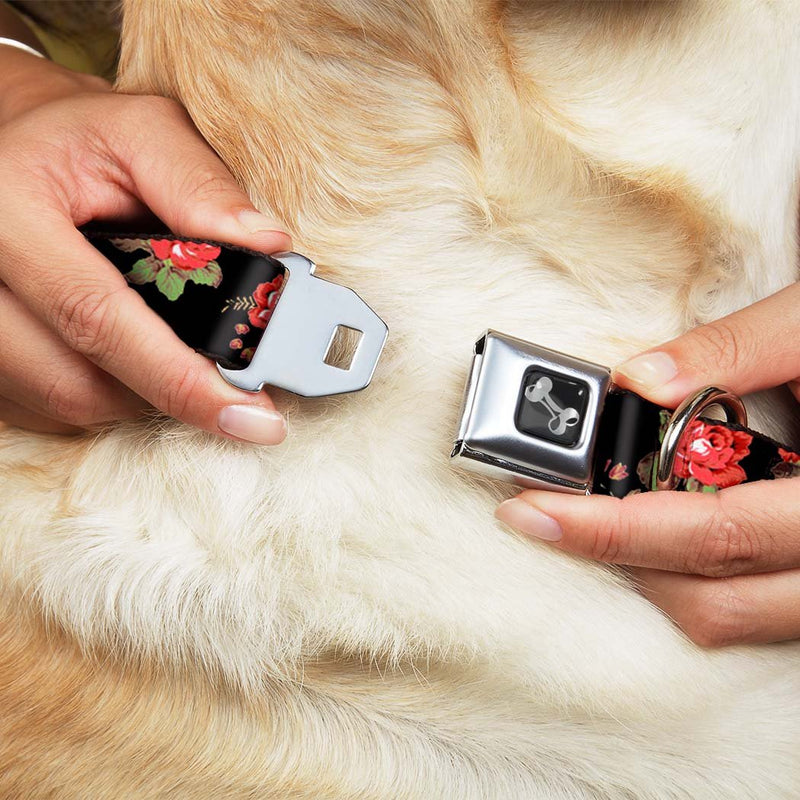 [Australia] - Dog Collar Seatbelt Buckle Red Roses Scattered Black 13 to 18 Inches 1.5 Inch Wide 