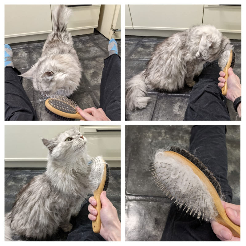 Dog Brush Grooming,Dog Brushes Double Sided Pin and Bristle Soft Cat Puppy Pet Hair Brush for Short and Long Haired - PawsPlanet Australia