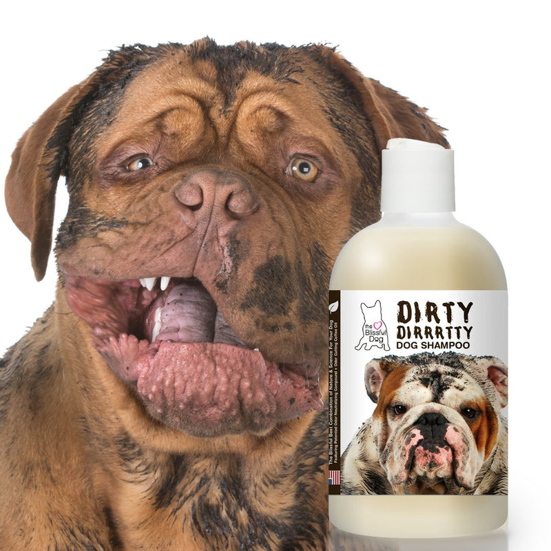 [Australia] - The Blissful Dog Dirty Dirrttty Dog Shampoo 8-Ounce 