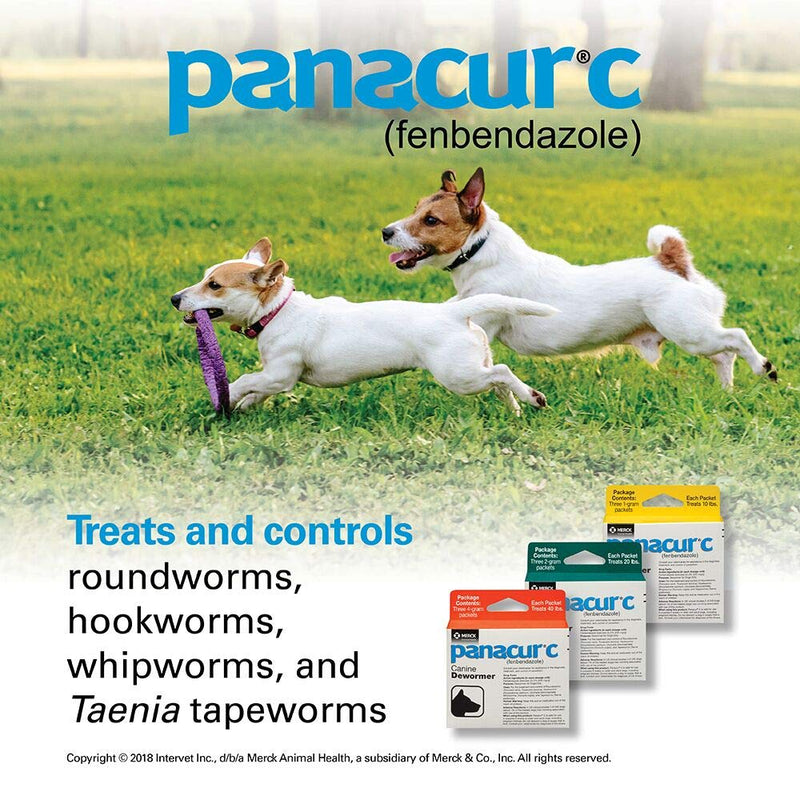 Panacur C Canine Dewormer (fenbendazole), 2 gram - PawsPlanet Australia