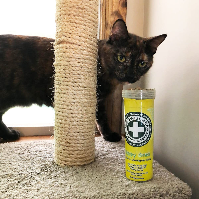 Meowijuana | Radi-Claw Bundle | Jump 'n' Jamb Monkey Door Hanger Toy and Happy Grass Catnip Blend | Promotes Play and Cat Health | Includes Organic Catnip - PawsPlanet Australia