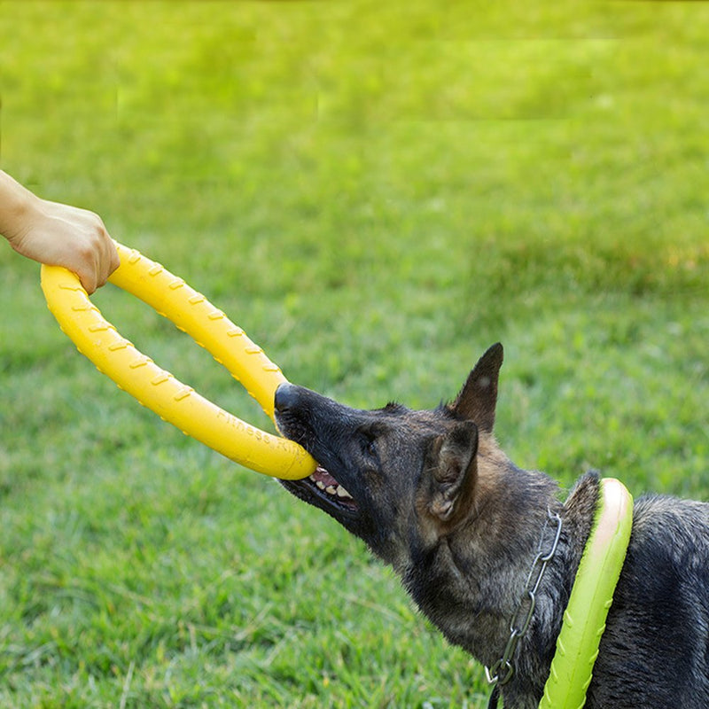 Large Dog Toys Ring Water Floating, Outdoor Fitness Flying Discs, Tug of War Interactive Training Ring for Medium and Big Dogs, 12 inch - PawsPlanet Australia