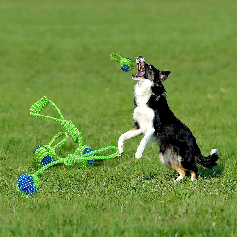 Dog Chew Rope Toys Set - Pack of 3 PCS Cotton Puppy Pet Chew Toys, Dental Teaser Kit for Small& Medium Dogs Interactive Play (Group A) Group A - PawsPlanet Australia