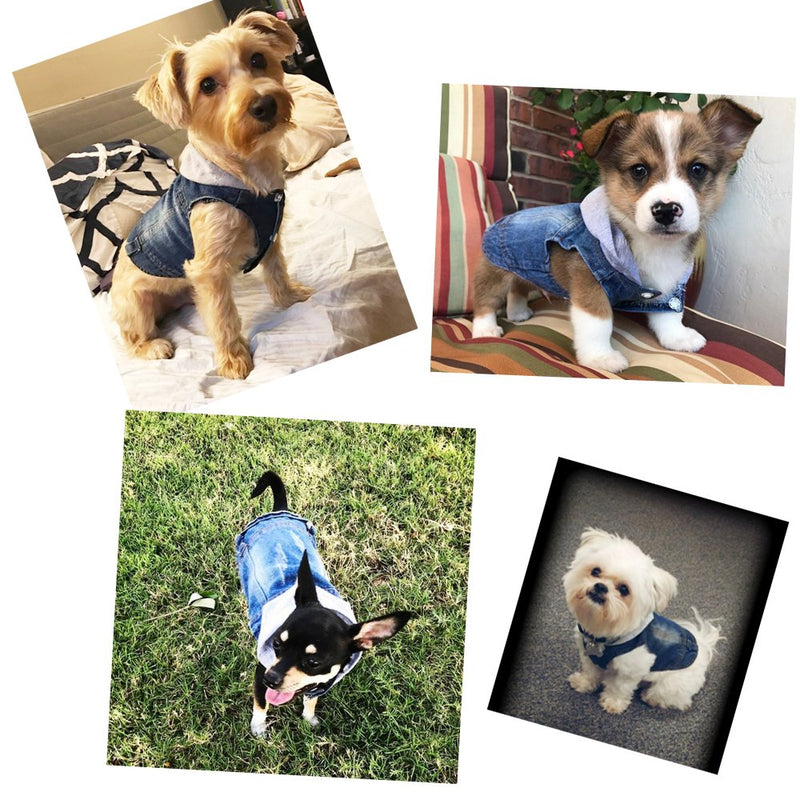 [Australia] - SILD Pet Clothes Dog Jeans Jacket Cool Blue Denim Coat Small Medium Dogs Lapel Vests Classic Hoodies Puppy Blue Vintage Washed Clothes XS Grey 