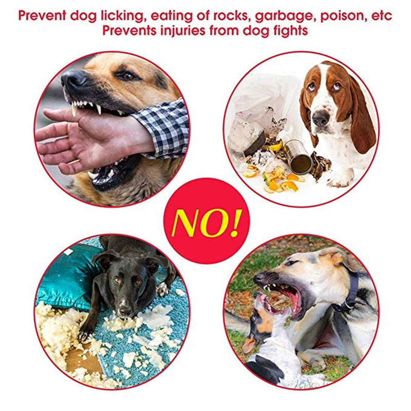 [Australia] - RAINDEE Dog Muzzle Nylon Soft Muzzle Anti-Biting Barking Secure，Mesh Breathable Pets Muzzle for Small Medium Large Dogs 4 Colors 4 Sizes S Black 