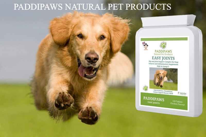 Paddipaws Easy Joints - Dog Joint Care Supplements - High Strength - 120 tablets - Hip and Joint supplement for dogs - Stiff and Older Dogs - Working Dogs - Powerful Proven Natural Active Ingredients. - PawsPlanet Australia