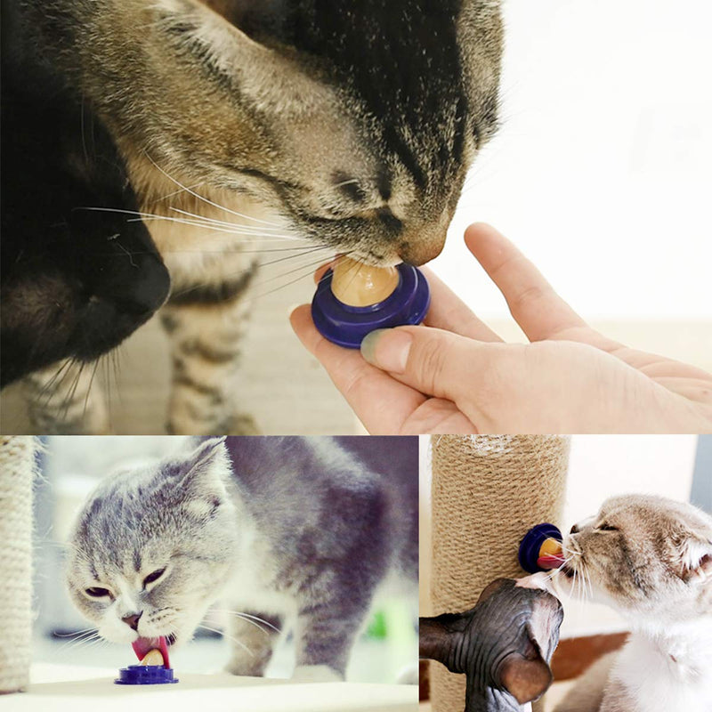 POPETPOP Cat Catnip Candy Balls Kitten Snacks Licking Treats Energy Ball Solid Nutrition Gel (4Pcs) - PawsPlanet Australia