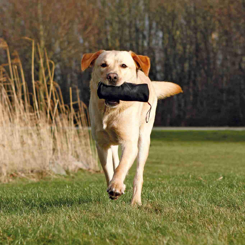 Trixie Training Dummy Biting Roll, 18 x 6 cm, Black - PawsPlanet Australia