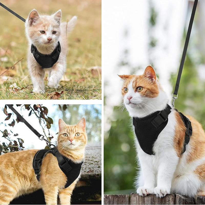 Cat Harness with Leash Adjustable Black Cat Soft Harness for Cat Chest Harness Cat Harness Cat Harness Cat Harness with Leash Escape-Proof (S, Black) - PawsPlanet Australia