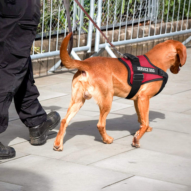 Dihapet Dog Harness, No Pull Dog Harness for Puppy Small Medium Large Dog, Service Dog Vest In Training Adjustable Reflective L Chest 26-38in Red - PawsPlanet Australia