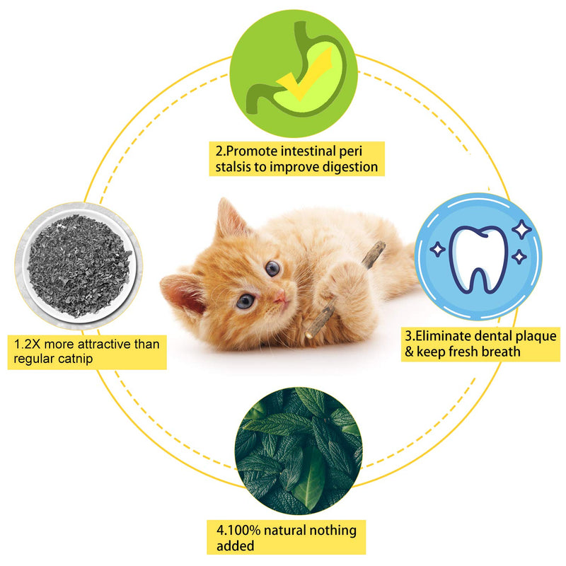 Yeteng 24 PCS Natural Cats Silvervine Sticks, Catnip Sticks Matatabi Teeth Molar Chew Toy for Cat Kitten Kitty Brown - PawsPlanet Australia