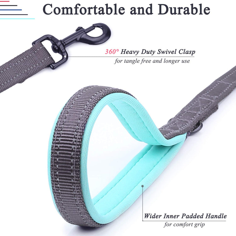 [Australia] - Vivaglory Dog Leash with Padded Handle, Heavy Duty Reflective Nylon Training Leash Walking Lead for Small to Large Dogs 4 FT x 1" Wide Grey 