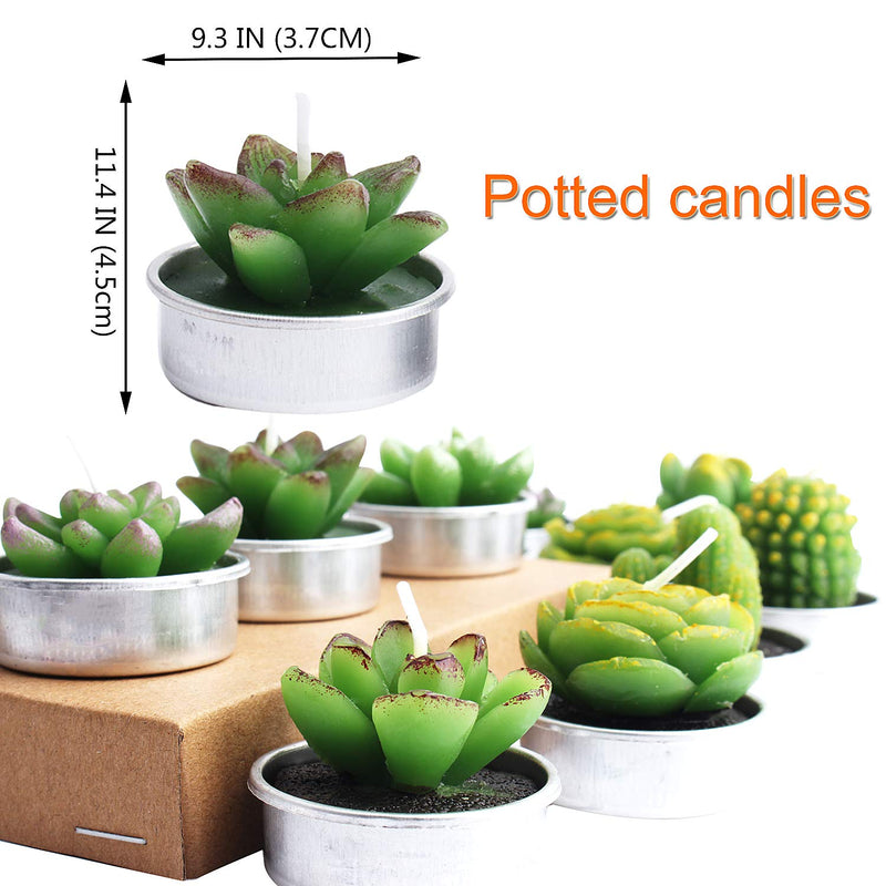 Outee 12 Pcs Cactus Tealight Candles Handmade Delicate Succulent Cactus Candles Flameless Aromatherapy 12 Designs for Birthday Party Wedding Spa - PawsPlanet Australia