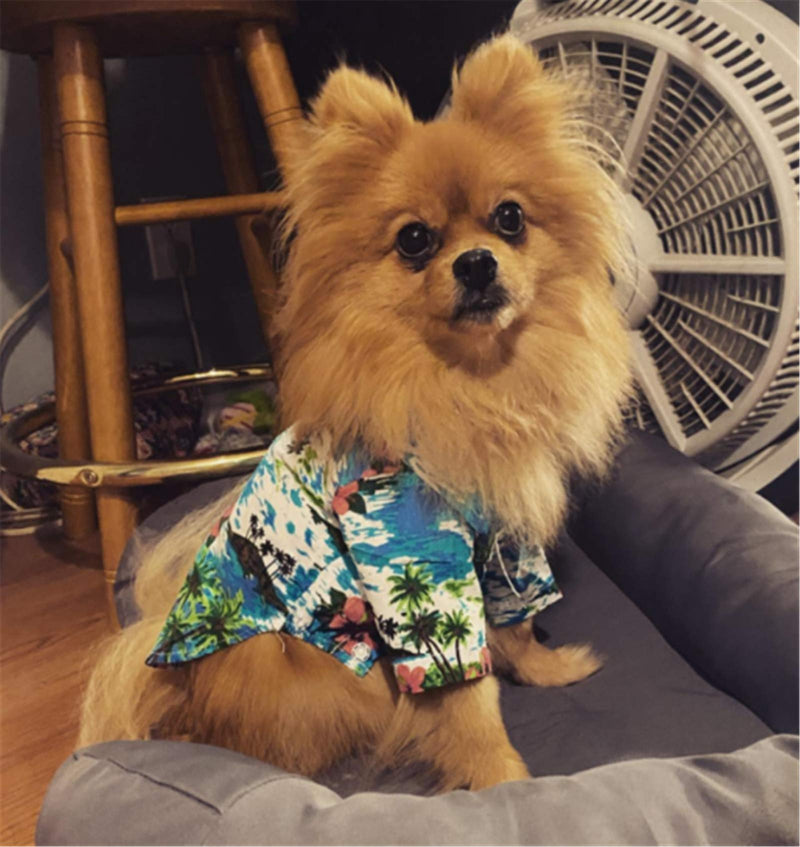 [Australia] - COUTUDI Hawaiian Dog Shirts Aloha Dog Shirt Pet Summer Cool Summer Hawaiian Style Leaf Flower Shirt for Small Puppy Dog Cat XS Blue 