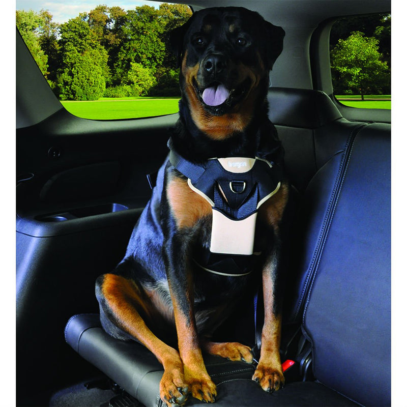 [Australia] - Bergan Auto Dog Harness Extra Large-tan/Black 80-150lbs 