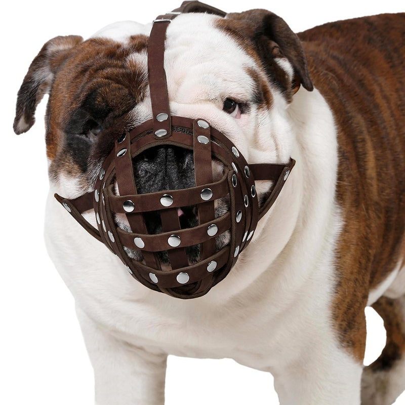 [Australia] - CollarDirect Basket Dog Muzzle for Boxer, English Bulldog, American Bulldog Secure Leather Muzzle Brown 