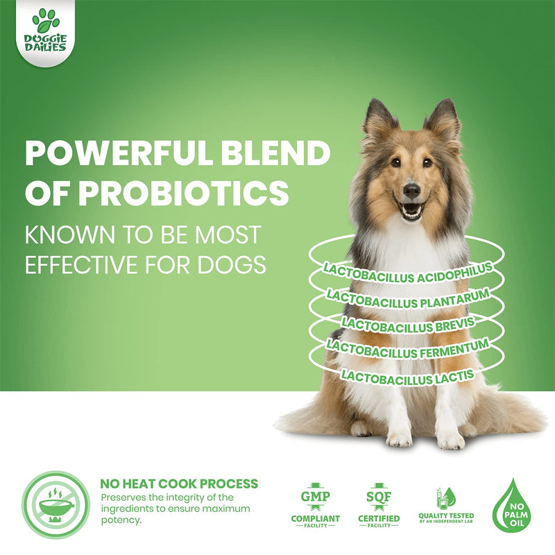 Doggie Dailies Probiotics for Dogs, 225 Soft Chews, Advanced Dog Probiotics with Prebiotics, Promotes Digestive Health, Supports Immune System and Overall Health Duck - PawsPlanet Australia
