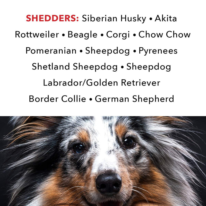 [Australia] - PRIDE AND GROOM - The Shedder, Bottle of Pet Shampoo, 16 oz. 