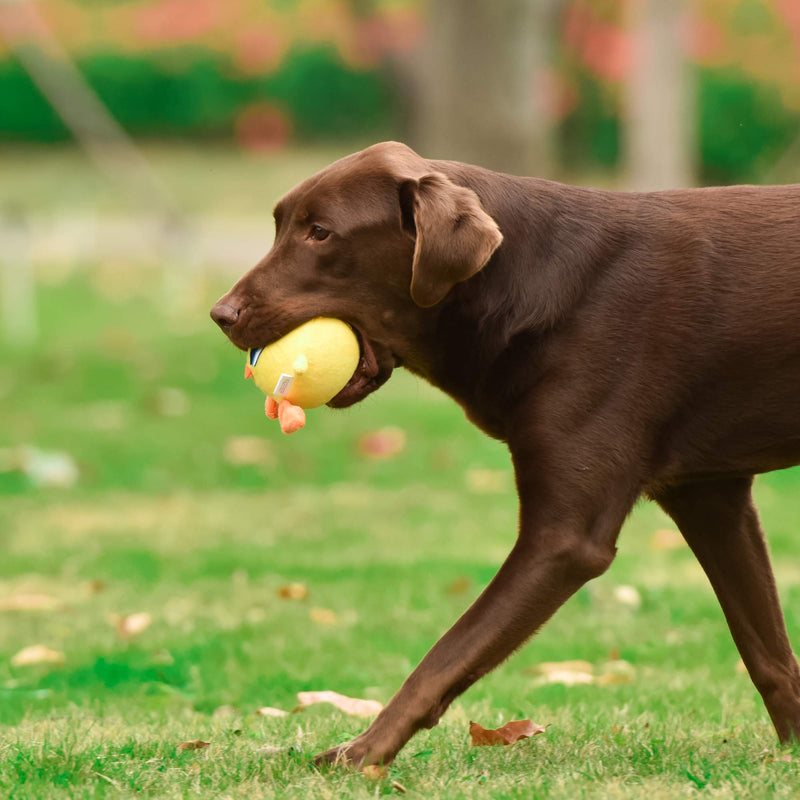 [Australia] - Warner Brothers Looney Tunes Toy Ball Body Dog Toys | Tweety Bird and Tasmanian Devil Plush Dog Toy Varieties | Soft and Cute Squeaky Dog Toys for All Dogs 