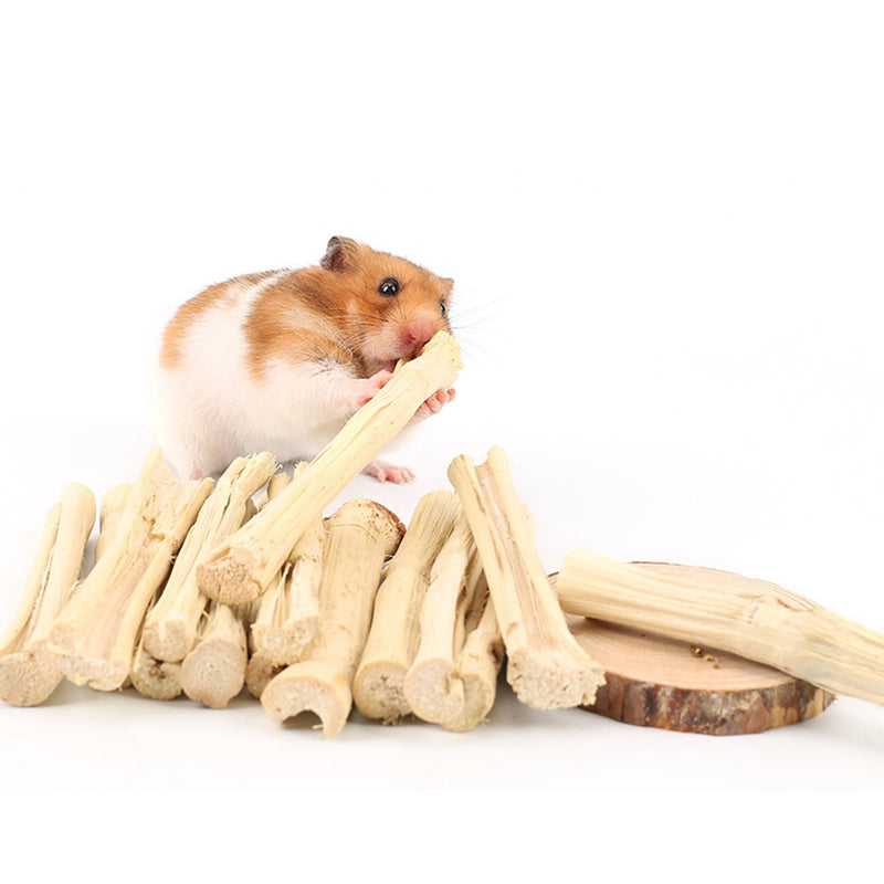 [Australia] - BWOGUE 100g Pet Snacks Sweet Bamboo Chew Toy for Squirrel Rabbits Guinea Pigs Chinchilla Hamster (About 10-14 Sticks) 100g Bamboo 