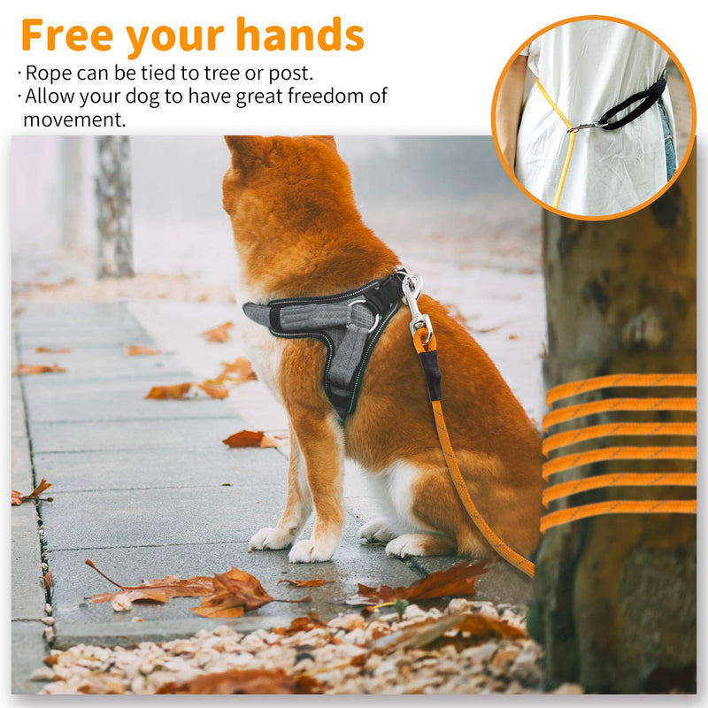 PETTOM Dog Training Lead Long Dog Line 10m 15m Extra Long Heave Duty Reflective Dog Leash for Small Medium Large Dogs Tracking Recall Training Outdoor (S: 5m / 16ft, Orange) S: 5m / 16ft - PawsPlanet Australia