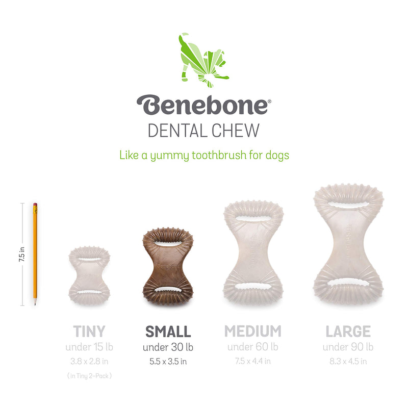 [Australia] - UPDATED DESIGN - Benebone Real Bacon Durable Dental Dog Chew Toy for Aggressive Chewers, Made in USA Small 