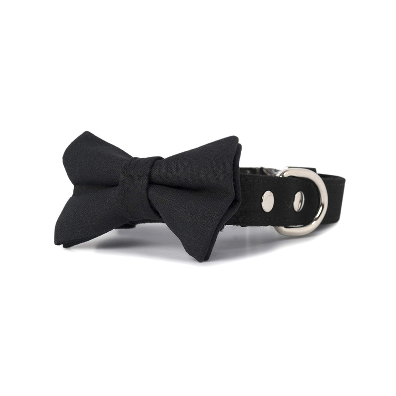 [Australia] - United Pups Elegant Pups Classy Black Collar Bow Tie and Leash Small 