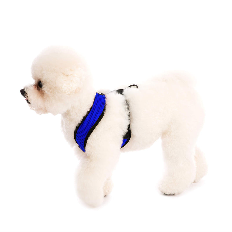 [Australia] - Gooby - Comfort X Head-in Harness, Small Dog Harness with Patented Choke Free X Frame Medium (9-15 lbs) Blue 