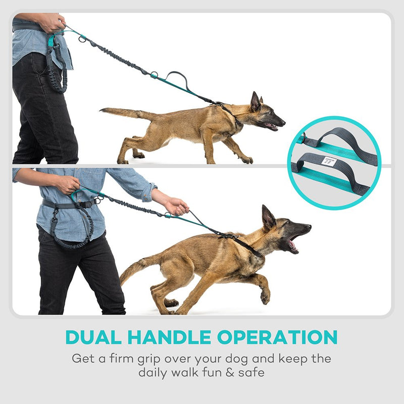 [Australia] - TaoTronics Retractable Hands Free Dog Leash with Dual Bungees for up to 150 lbs Large Dogs Blue 