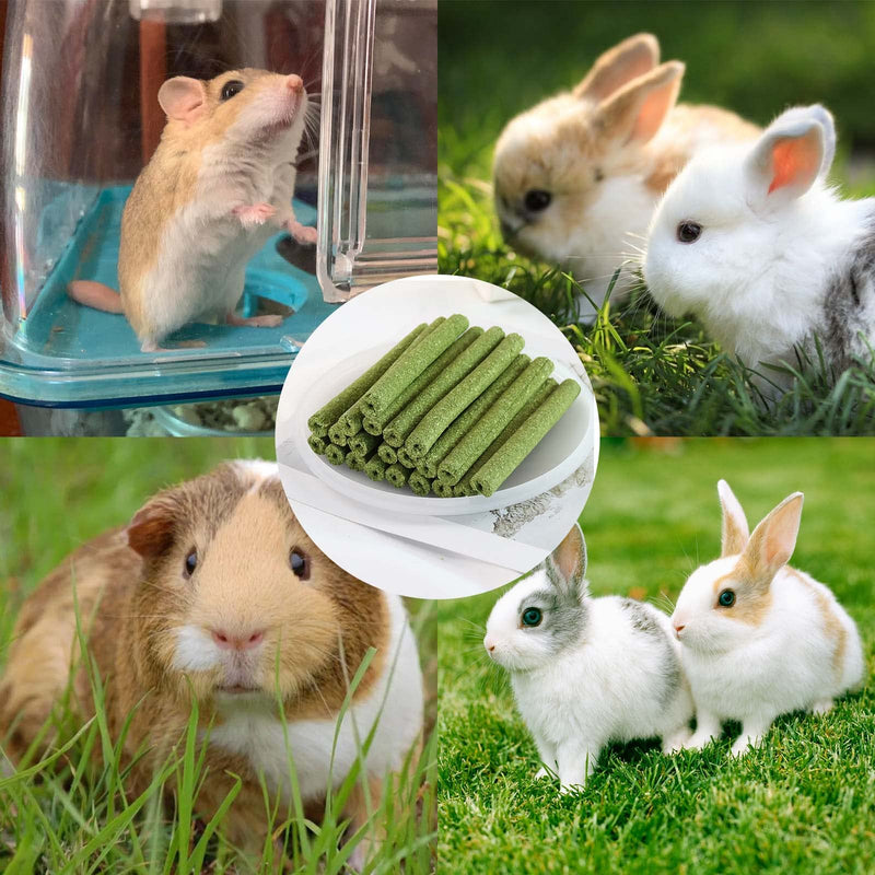 ACHANFLY Pack of 30 Timothy Hay Sticks Rabbit Toys Small Animal Chew Toys Dental Care for Guinea Pigs Hamsters Chinchilla Rabbits - PawsPlanet Australia