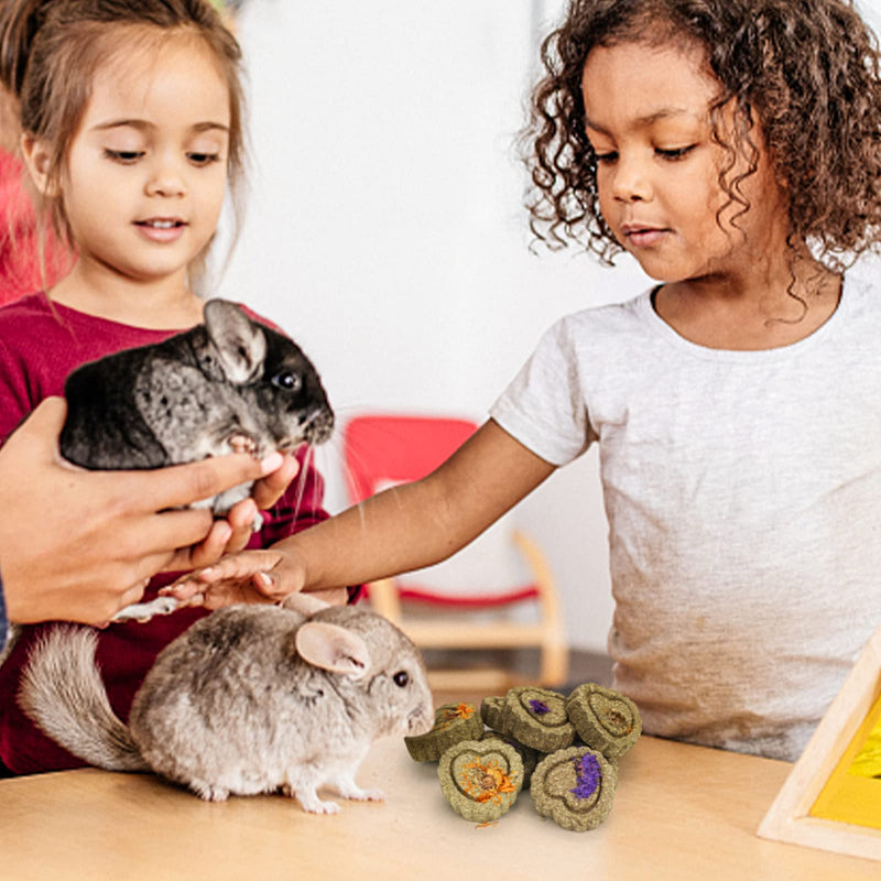 Pack of 20 rabbit toys, guinea pig chew toys, Timothy hay cakes, small animals, dental care, Timothy hay chew ball snacks for bunnies, chinchillas, guinea pigs, gerbils, hamsters, 20 pieces - PawsPlanet Australia