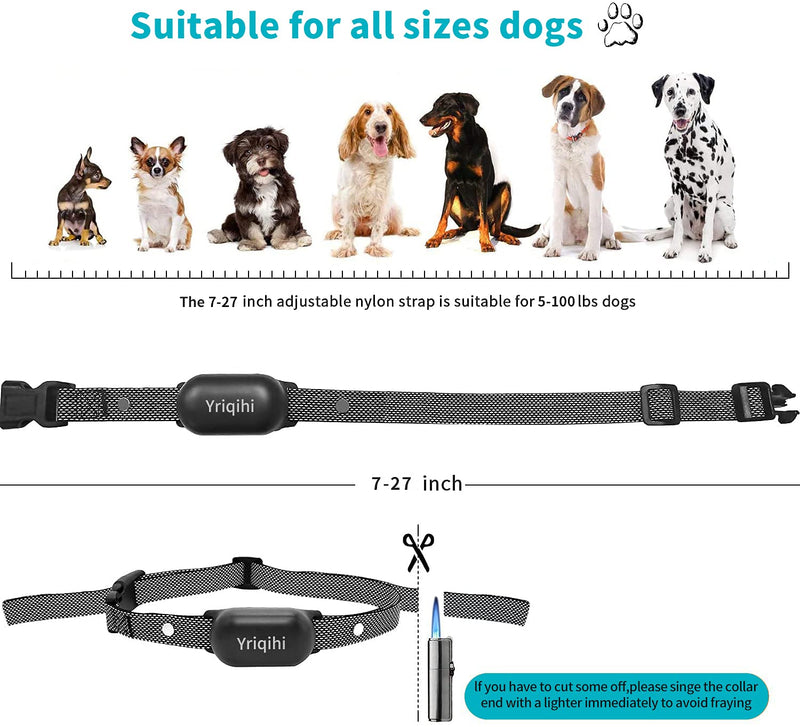 Dog Training Collar with Remote, Rechargeable Training Collar with Beep, Vibration and Shock Safe Training Modes, IPX7 Waterproof Dog Shock Collar with Remote for Large Medium Small Dogs Grey - PawsPlanet Australia