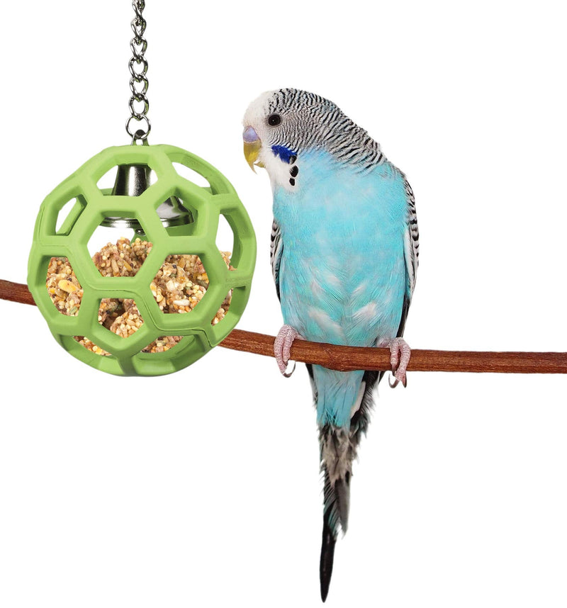 JW Pet Company Activitoys Hol-ee Roller Bird Toy ( Color May Vary ) - PawsPlanet Australia