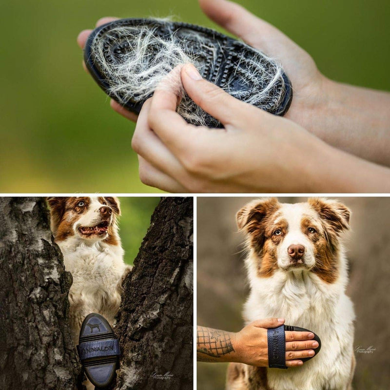 Animalon short hair curry comb LARGE for dogs| Shedding helper for dogs | Innovative dog brush for gentle grooming (small curry comb, blue) small curry comb - PawsPlanet Australia