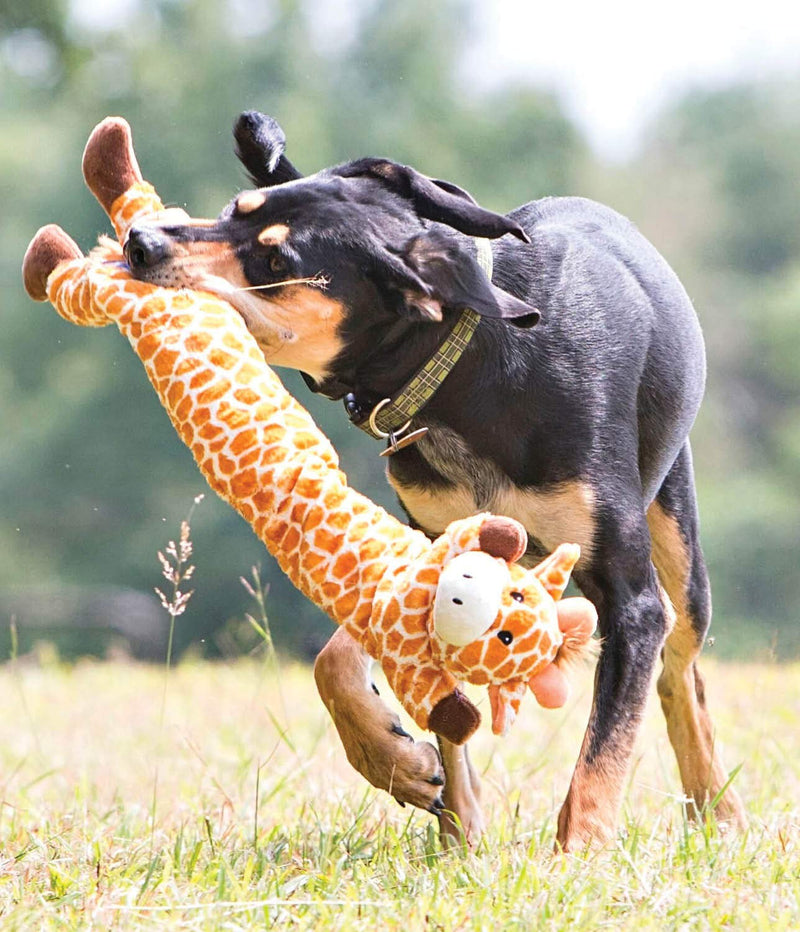 [Australia] - Charming Pet Longidudes Plush Dog Toy - Super Long Squeaky Toy - Tough and Durable Interactive Soft Stuffed Toy for Dogs Rabbit 