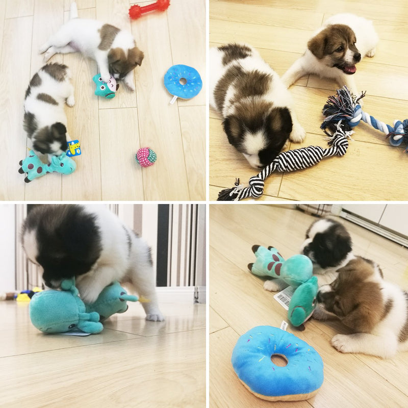 [Australia] - BUIBIIU Dog Toys Small Dog Chew Toys Dog Teething Toys Squeaky Toys Chihuahua Pomeranian Corgi and PoodlesToys 6 PCS blue, green, black 