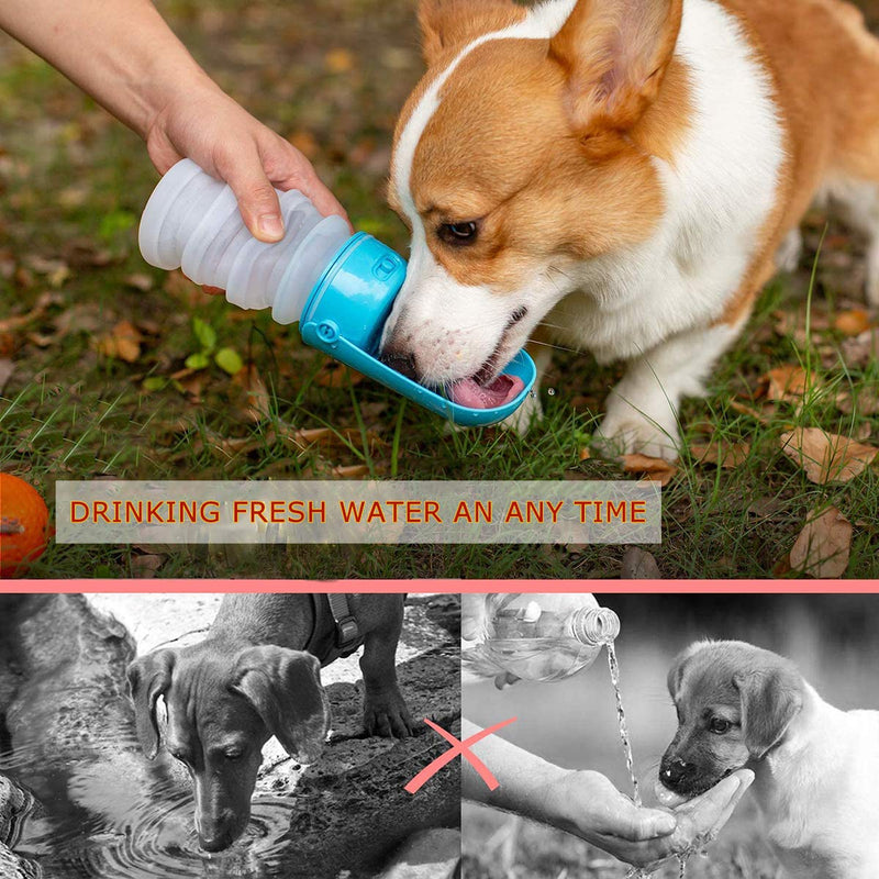 KEMOO Dog Water Bottle,Foldable Pet Water Bottle for Dogs,Pet Travel Water Bottle,Leakproof Dog Travel Water Cup,Portable Pet Water Bottle for Outdoor Walking(Blue) ZY-Dog Bottle-1GM New - PawsPlanet Australia