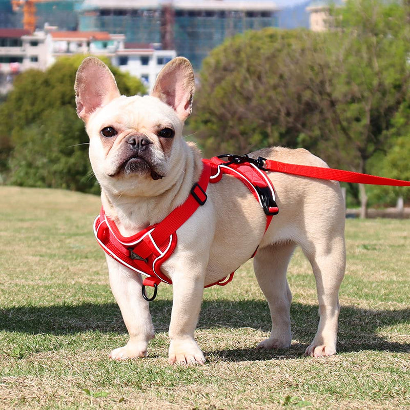 Lairle Dog Harness Small Dog, Puppy Harness, No Pull Dog Hanress Reflective Mesh Dog Vest Hanress with Leash Set for Small Dogs Cats XL Red - PawsPlanet Australia