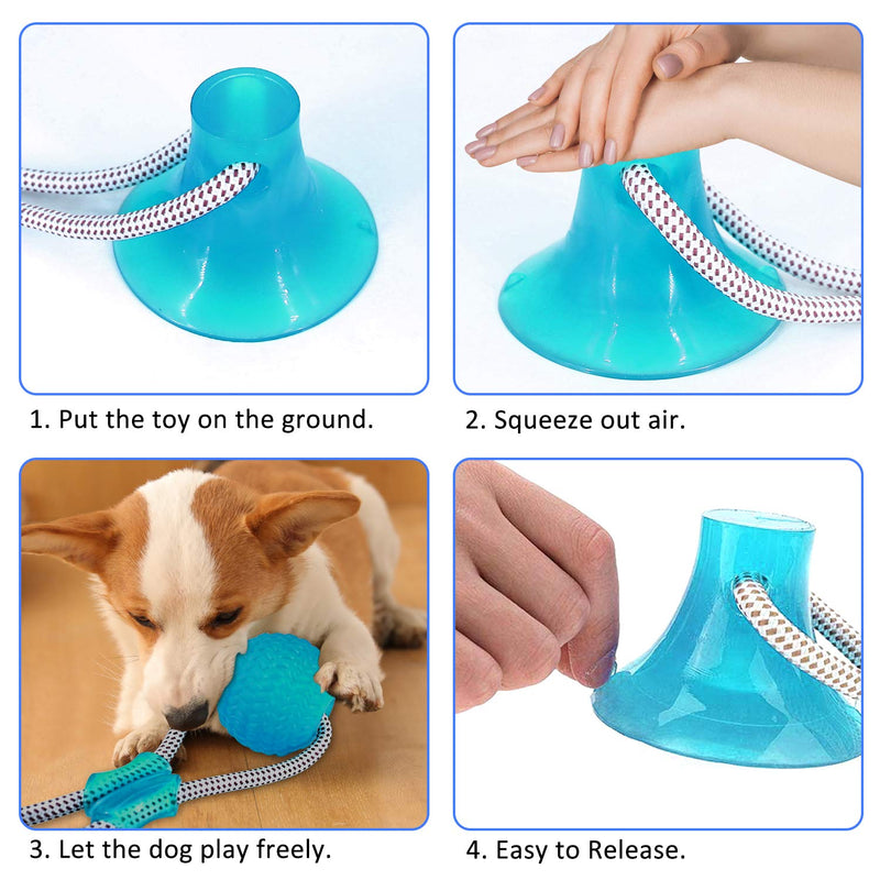 Suction Cup Dog Toy, POUMANNI Aggressive Chew Pet Toys for Dogs Hedgehog Pet Dog Toy Interactive Durable Small Dog Toys for Tug/Chewing/Teeth Cleaning with Durable Rope and Suction Cup(Green) Suction Cup Dog Toy - PawsPlanet Australia