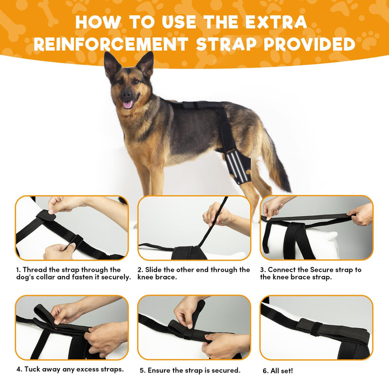 BENCMATE Adjustable Dog Knee Brace, Universal Designed for All Four Limbs, Dog ACL Hind Leg Brace, Dog CCL Brace, Support with Cruciate Ligament Injury, Joint Pain and Muscle Sore (Black, Large) Large (THIGH c. 10.6"-15.4"/LEG ht. 7.9"-11") - PawsPlanet Australia