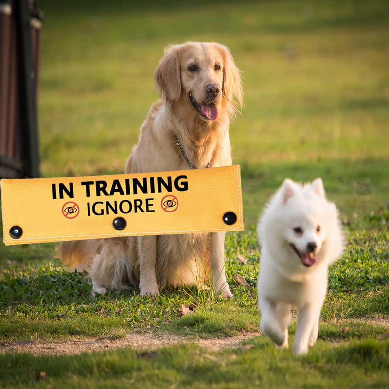 In Training Ignore Dog Leash Sleeve Dot Not Pet Working Dog Leash Sleeve Service Dog Leash Wrap (Training Ignore DS) Training Ignore DS - PawsPlanet Australia